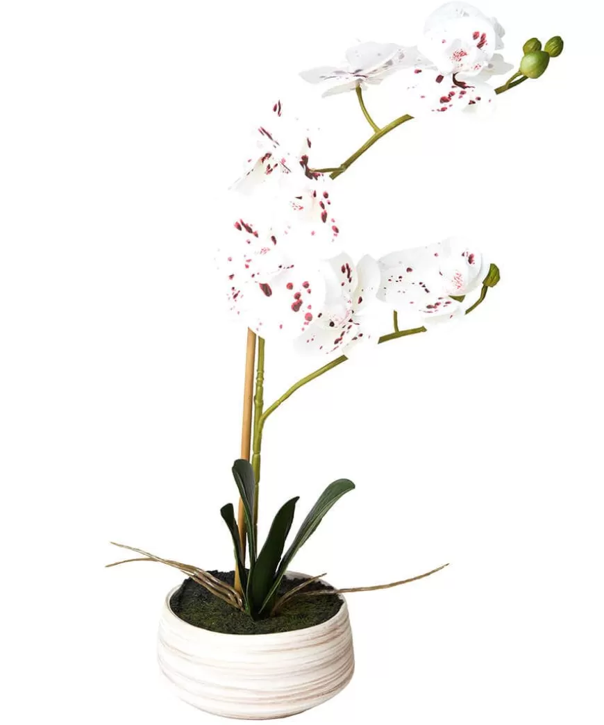 Joe Browns Artificial Plants | Floral Décor*Blooming Marvellous Speckled Orchid