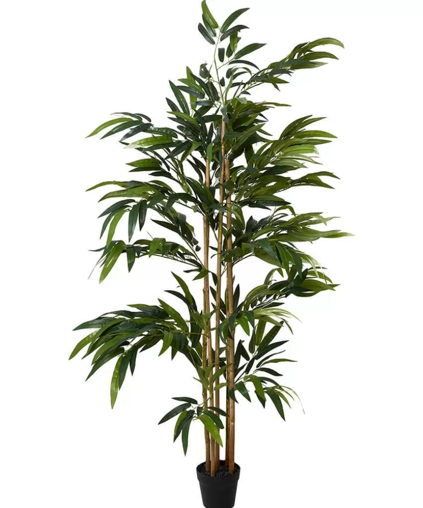 Joe Browns Artificial Plants | Floral Décor*Brilliant Bamboo Plant