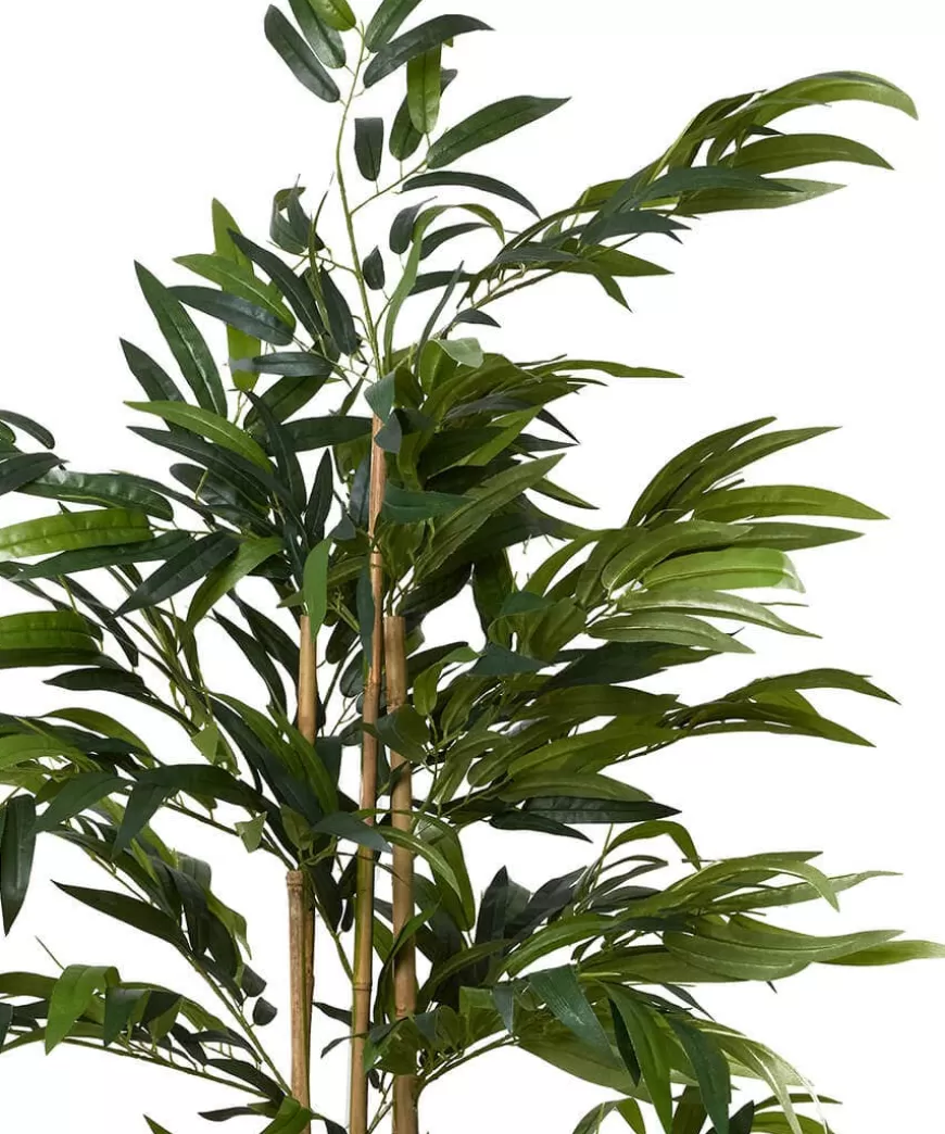 Joe Browns Artificial Plants | Floral Décor*Brilliant Bamboo Plant