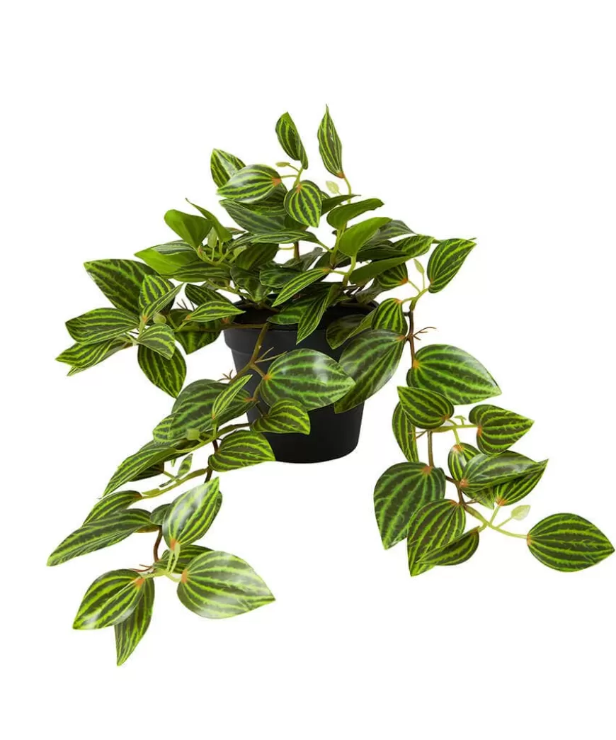 Joe Browns Artificial Plants | Floral Décor*Gorgeous Tradescantia Zebrina Plant