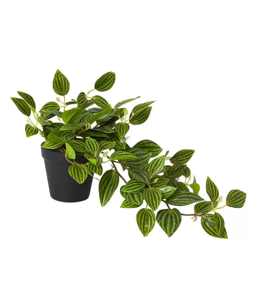 Joe Browns Artificial Plants | Floral Décor*Gorgeous Tradescantia Zebrina Plant