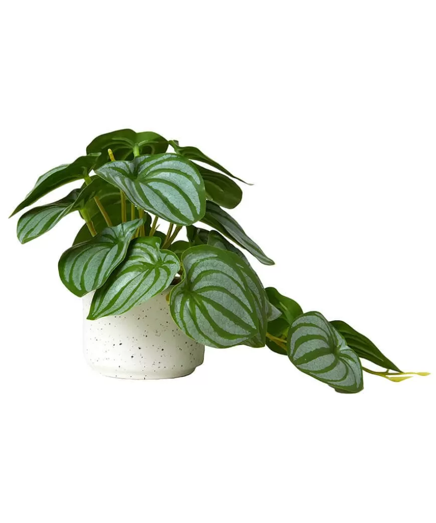 Joe Browns Artificial Plants | Floral Décor*Luscious ery In Speckled Ceramic Pots