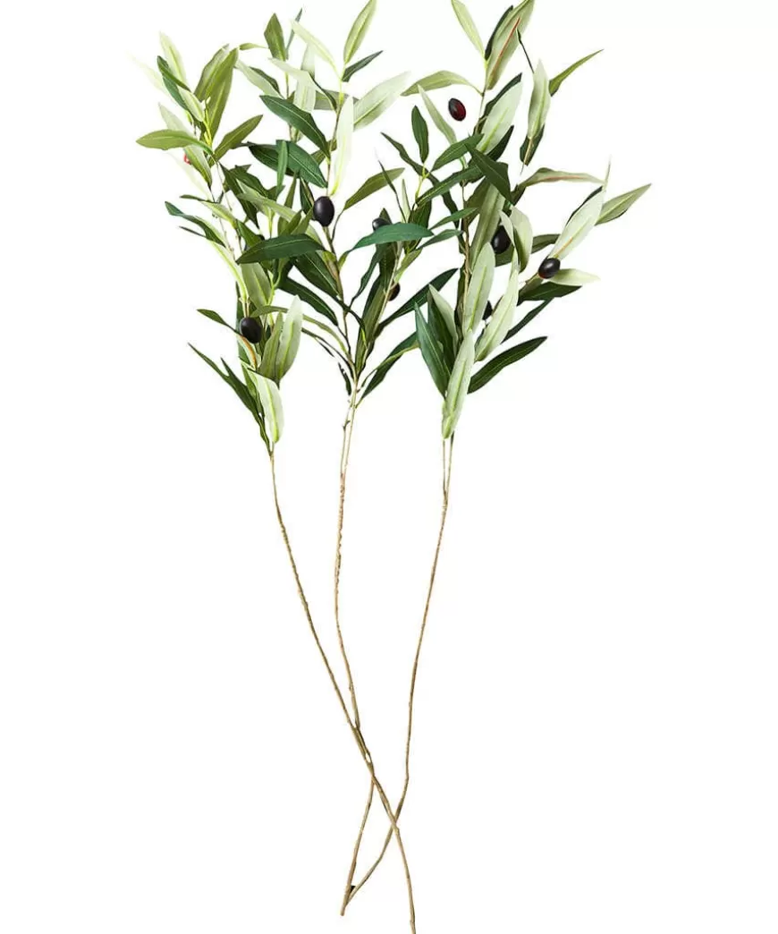 Joe Browns Artificial Plants | Floral Décor*Oh So Lovely Olive Branches (Pack Of 3)