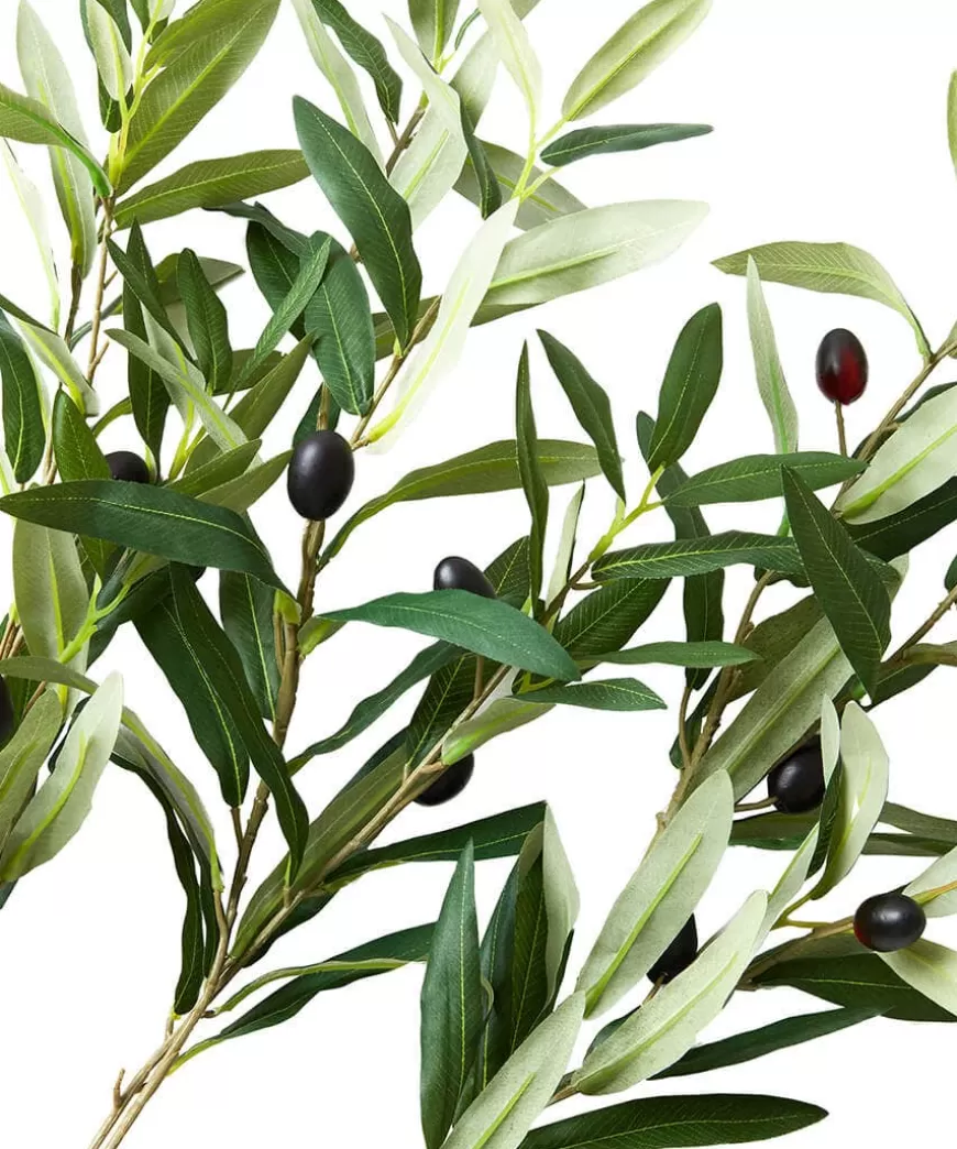 Joe Browns Artificial Plants | Floral Décor*Oh So Lovely Olive Branches (Pack Of 3)