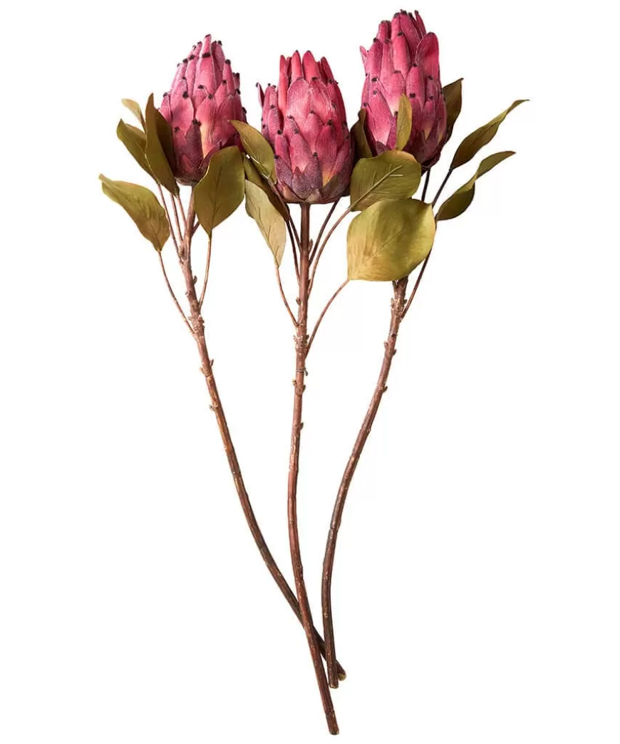 Joe Browns Floral Décor | Home Accessories*Pack Of 3 Pretty Protea Flower Stems