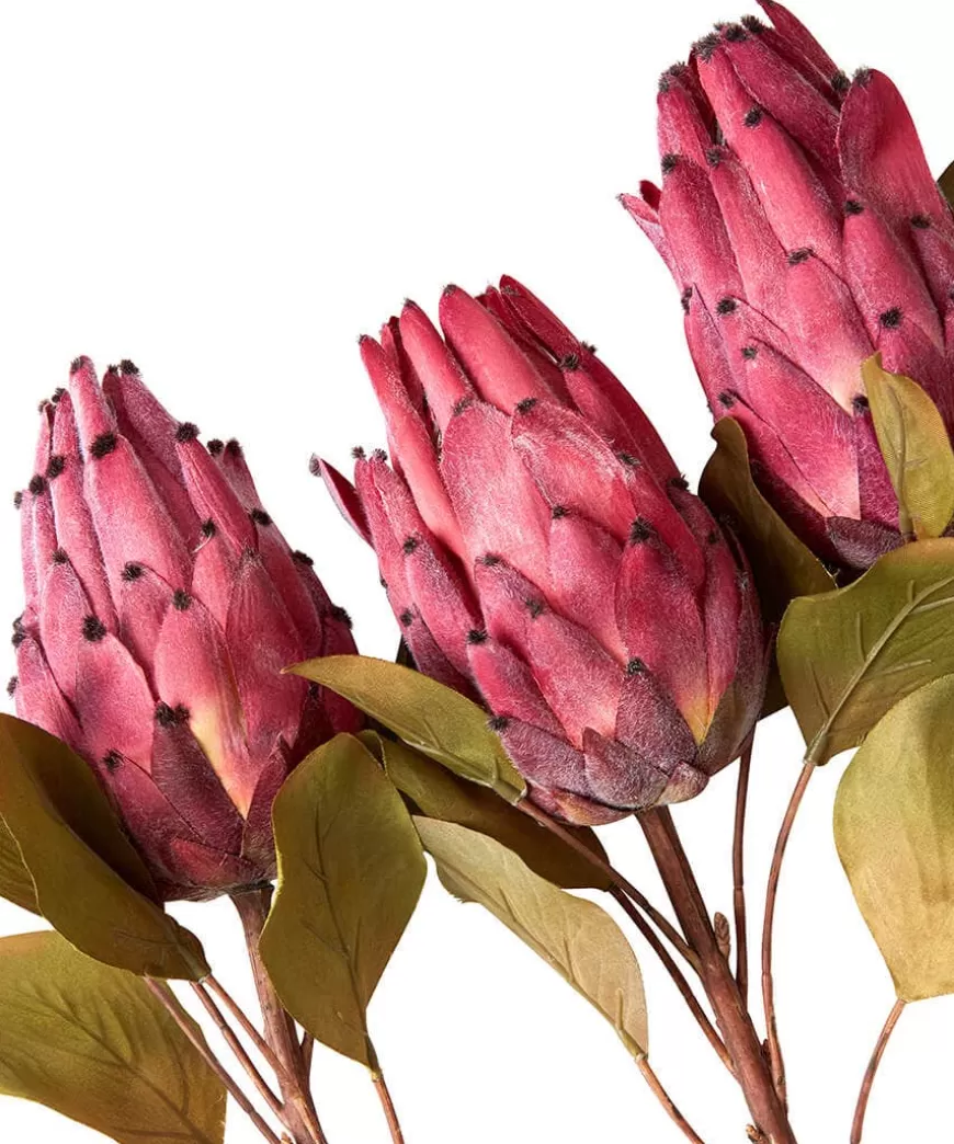 Joe Browns Floral Décor | Home Accessories*Pack Of 3 Pretty Protea Flower Stems