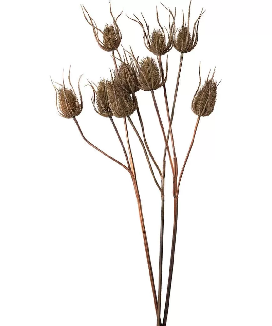 Joe Browns Floral Décor | Home Accessories*Set Of 3 Large Triple Teasle Plant Stems