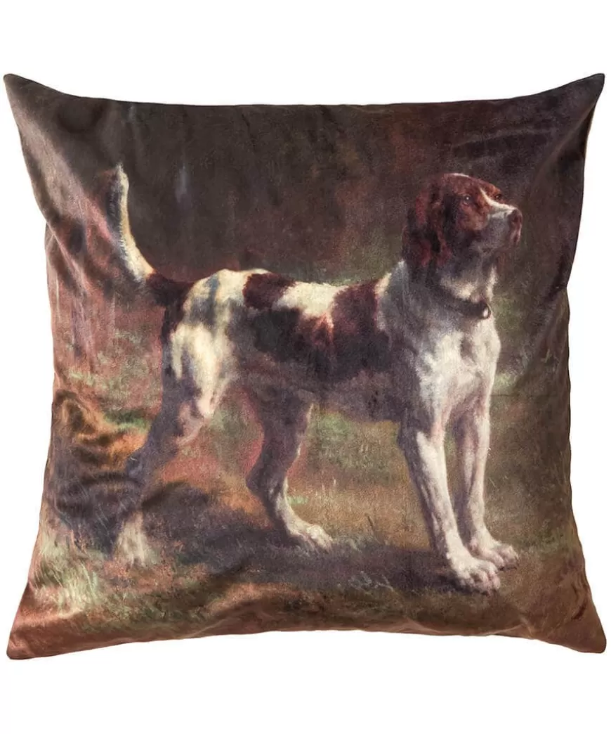 Joe Browns Animal Décor | Cushions & Throws*Striking Spaniel Velvet Cushion