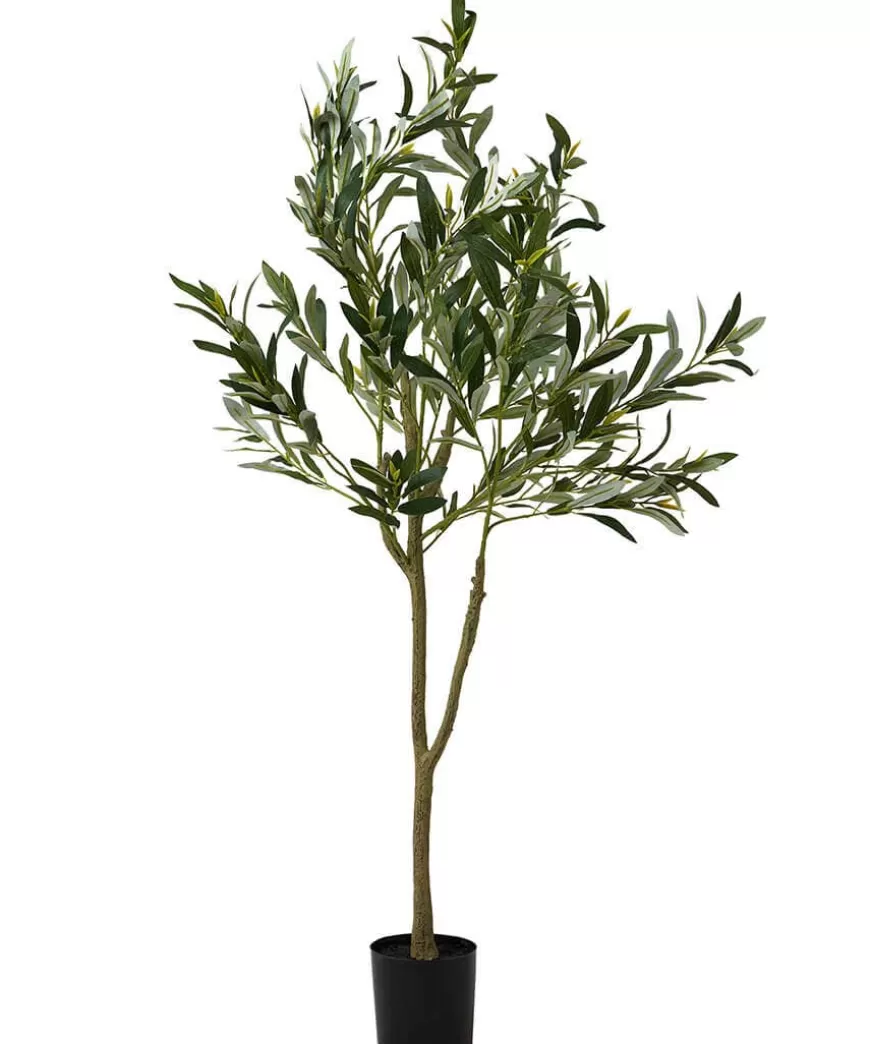 Joe Browns Artificial Plants | Floral Décor*The Tree Of Life Olive Tree