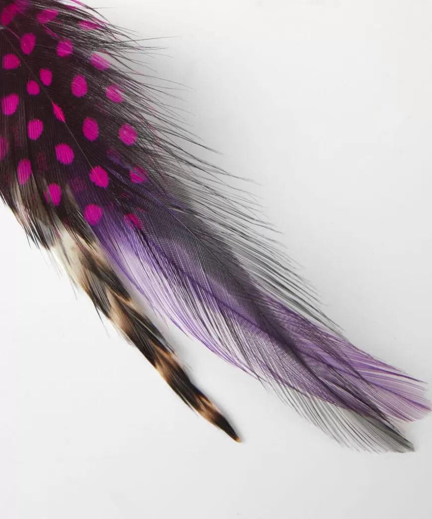 Joe Browns Tailoring | Gifts*Vibrant Feather Pin