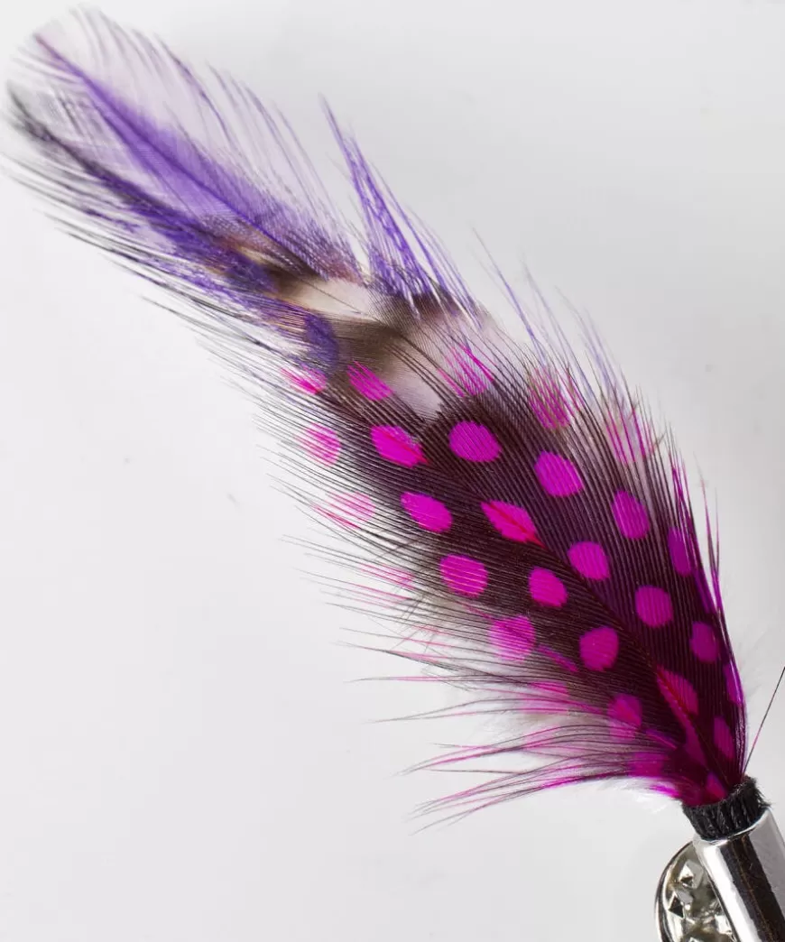 Joe Browns Tailoring | Gifts*Vibrant Feather Pin